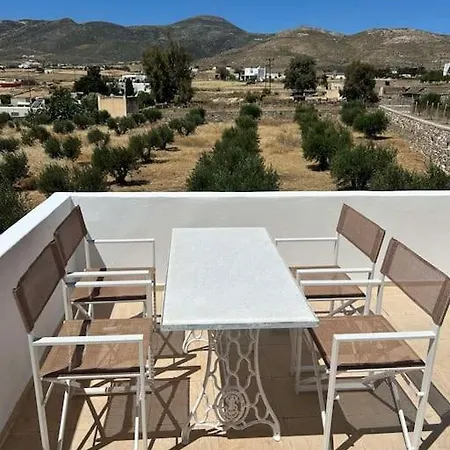 Olive House Casa vacanze
