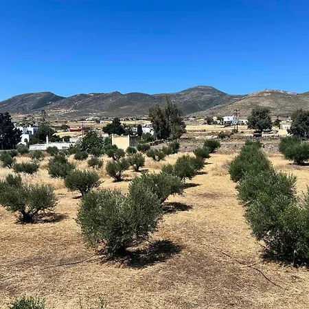 بيت للعطل Olive House Márpissa